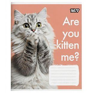Тетрадь школьная Yes Cats А5 36 листов клетка 768629 фото