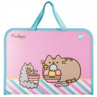 Папка-портфель Yes Pusheen Stormy FC на молнии с тканевыми ручками 492238 фото