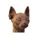 Картонний пазл (конструктор) "Cartonic 3D Puzzle SPHYNX CAT"