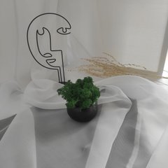 Декоративное кашпо Коло (черный) + т.-зелений мох