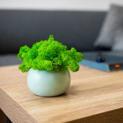 Декоративное кашпо Сфера (мятное) + св-зелений мох