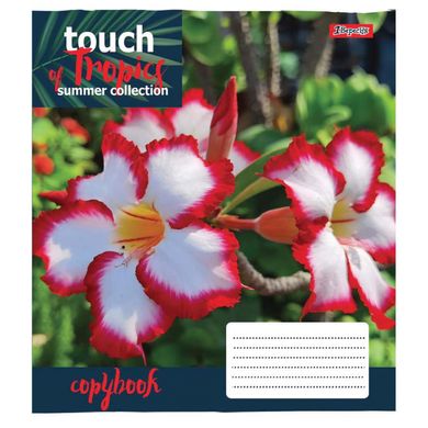 А5/96 лін. 1В Touch tropics, зошит дя записів