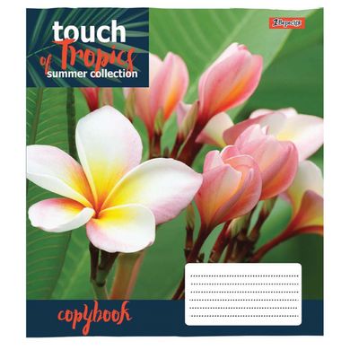 А5/96 лін. 1В Touch tropics, зошит дя записів