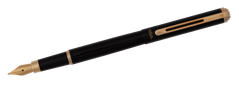 Ручка перова в оксамитовому чохлі, чорний REGAL