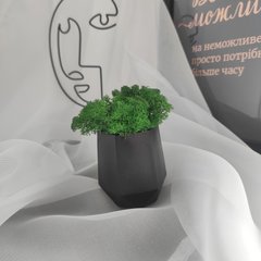 Декоративное кашпо Пятиугольник черный с светло-зеленым мохом