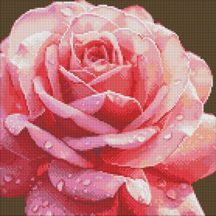 Алмазна мозаїка без підрамника - "Досконала троянда" 40х40см