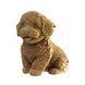 Картонный пазл (конструктор) "Cartonic 3D Puzzle MALTIPOO"