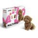 Картонный пазл (конструктор) "Cartonic 3D Puzzle MALTIPOO"