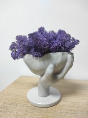 Кашпо Рука з чашою, сіра + фіолетовий мох