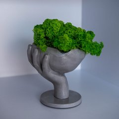 Кашпо Рука з чашою, сіра + світло-зелений мох