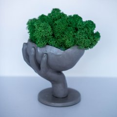 Кашпо Рука з чашою, графіт+ темно-зелений мох