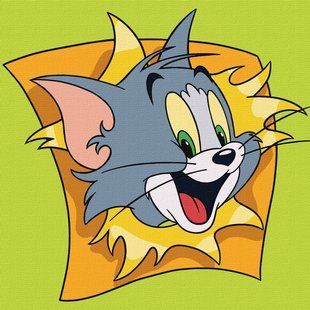 Картина по номерам - "Tom and Jerry: Веселые приключения &copy; Warner Bros." 25х25 см КНО1366 фото