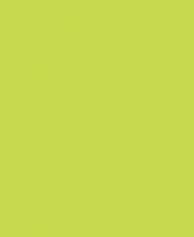 Бумага цветная A4 / 160, 20 л. зеленая липа