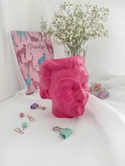 Декоративне кашпо Ейнштейн, рожевий