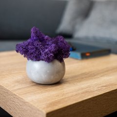 Декоративное кашпо Сфера (серое) + фиолетовий мох