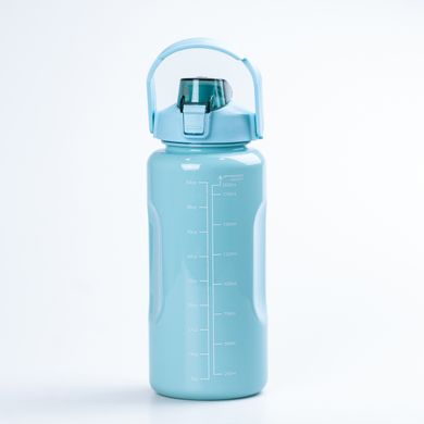 Набір пляшок для води з мотивуючими написами 500/900/2000 мл, м'ятний