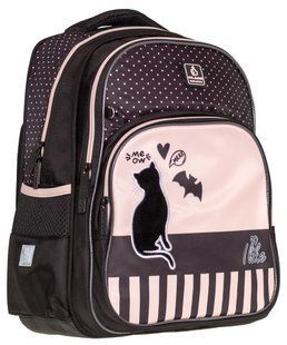 Рюкзак SchoolPack 2 отделения, 38х28х17см, полиэстер, Black Cat 2521С фото