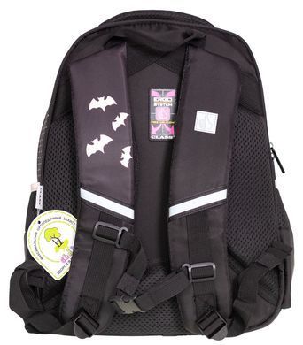 Рюкзак SchoolPack 2 отделения, 38х28х17см, полиэстер, Black Cat 2521С фото
