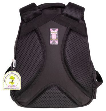 Рюкзак SchoolPack 2 отделения, 38х28х17см, полиэстер, Black Cat 2521С фото