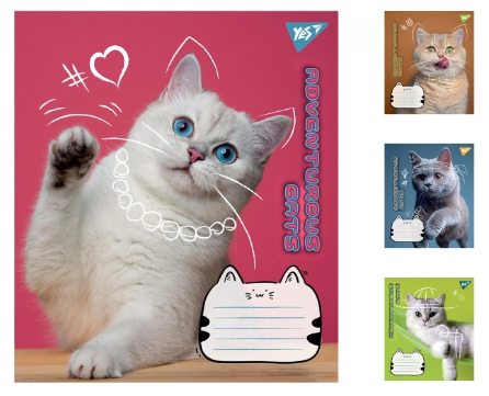 Тетрадь школьная Yes Adventurous cats 12 листов линия