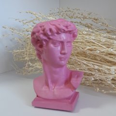 Декоративне кашпо Давид, рожевий
