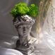 Кашпо Давид сірий з світло-зеленим мохом (79)